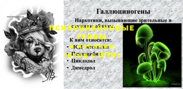 первитин Богданович
