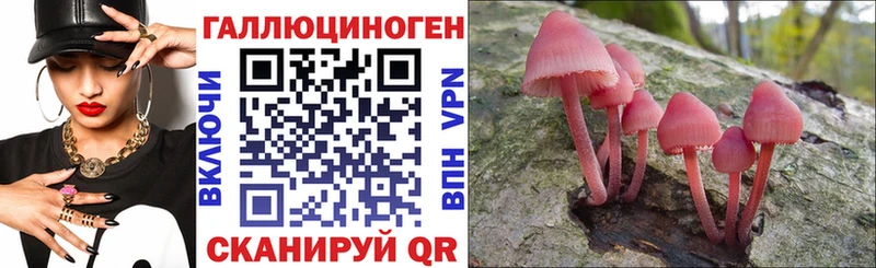 нарко площадка официальный сайт  продажа наркотиков  кракен маркетплейс  Омск  Галлюциногенные грибы Psilocybe 